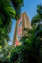 Honolulu, Hawaii- Dec. 13, 2018: Hilton Hawaiian VillageÃ¢â¬â¢s Rainbow Tower seen through palm fronds